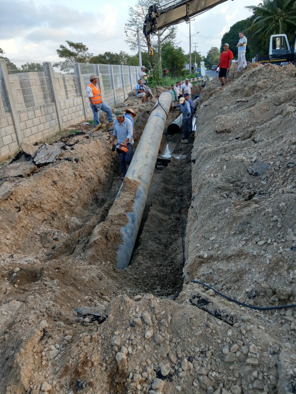 imagen del encabezado