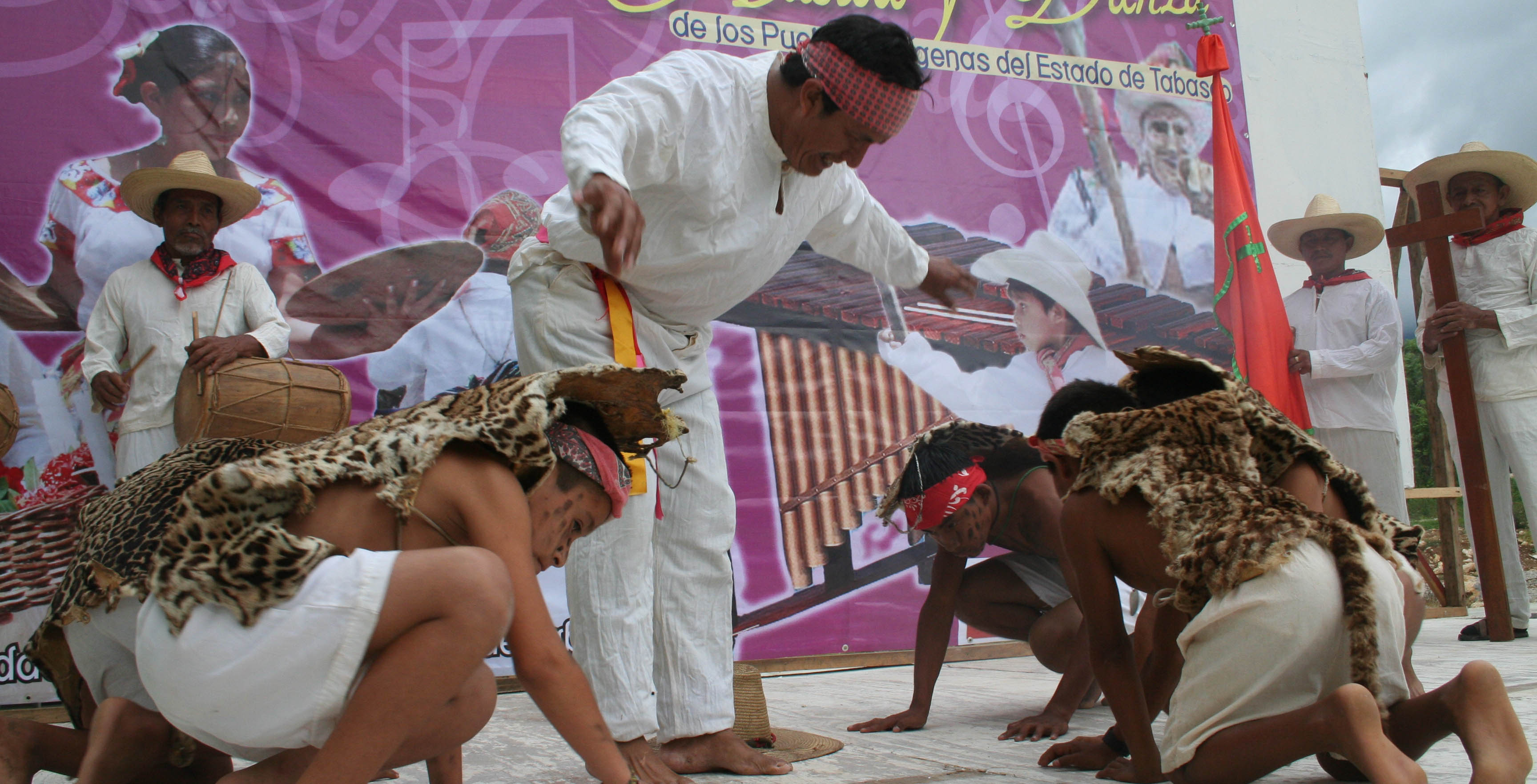 imagen del encabezado