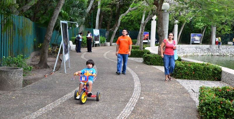 imagen del encabezado