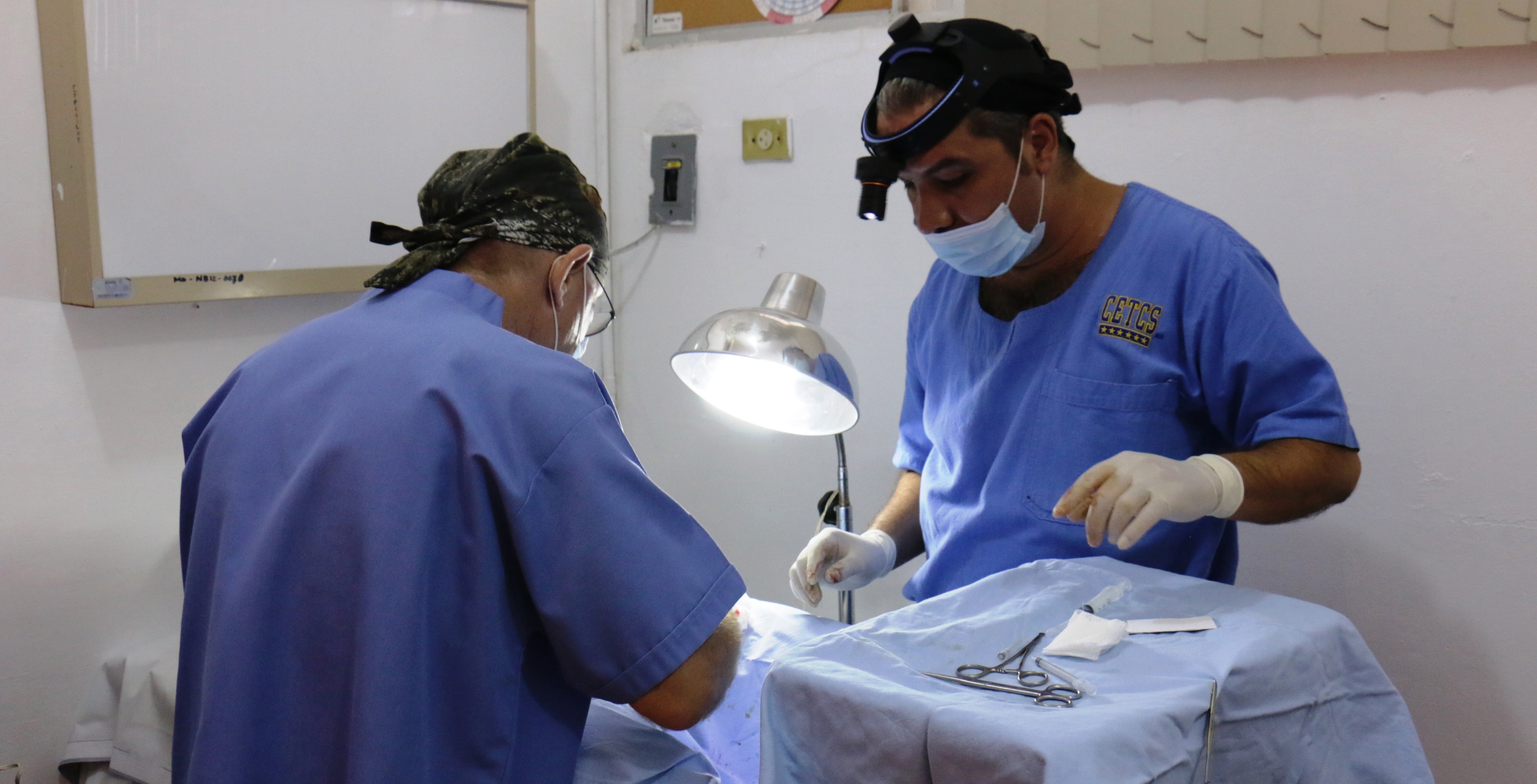 imagen del encabezado