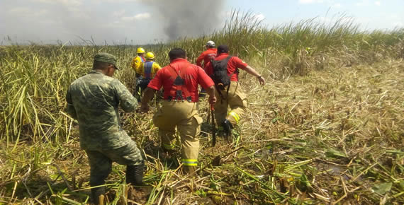 imagen del encabezado