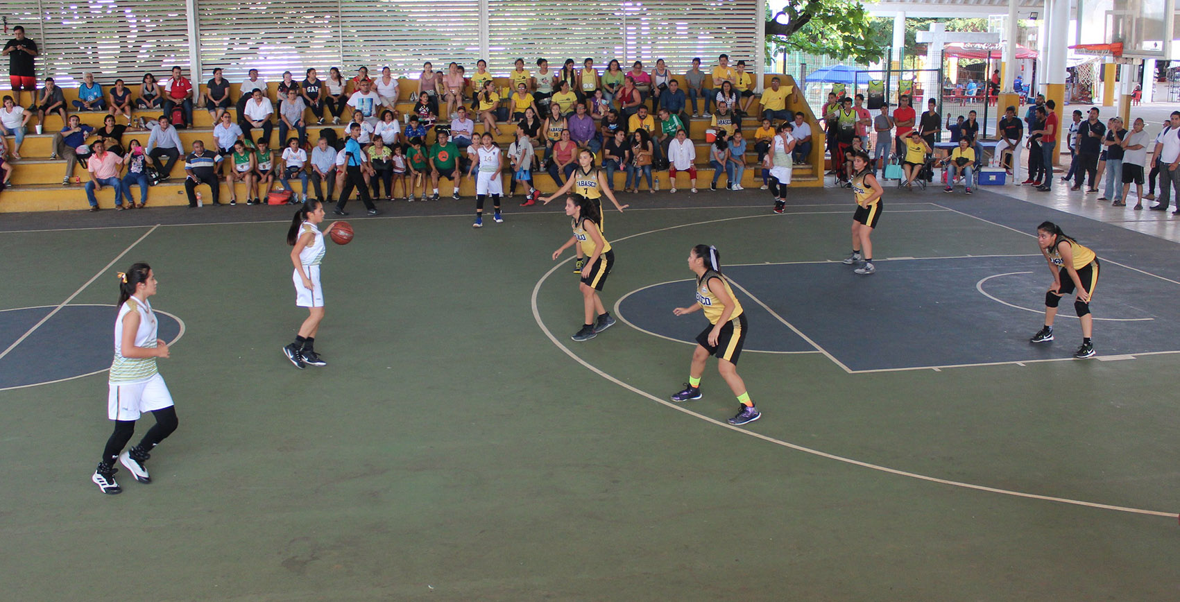 imagen del encabezado