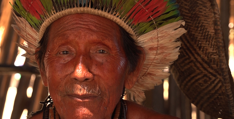 imagen del encabezado