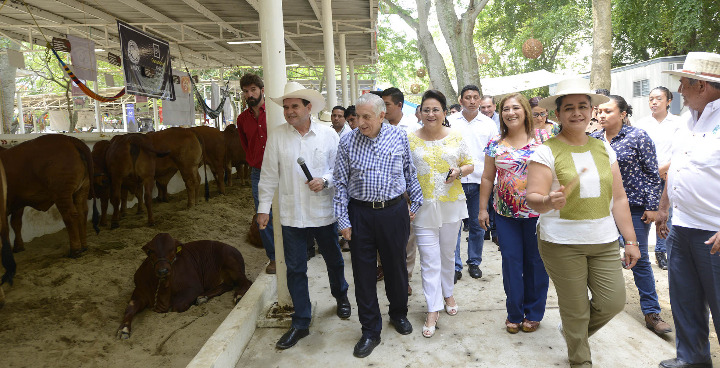 imagen del encabezado