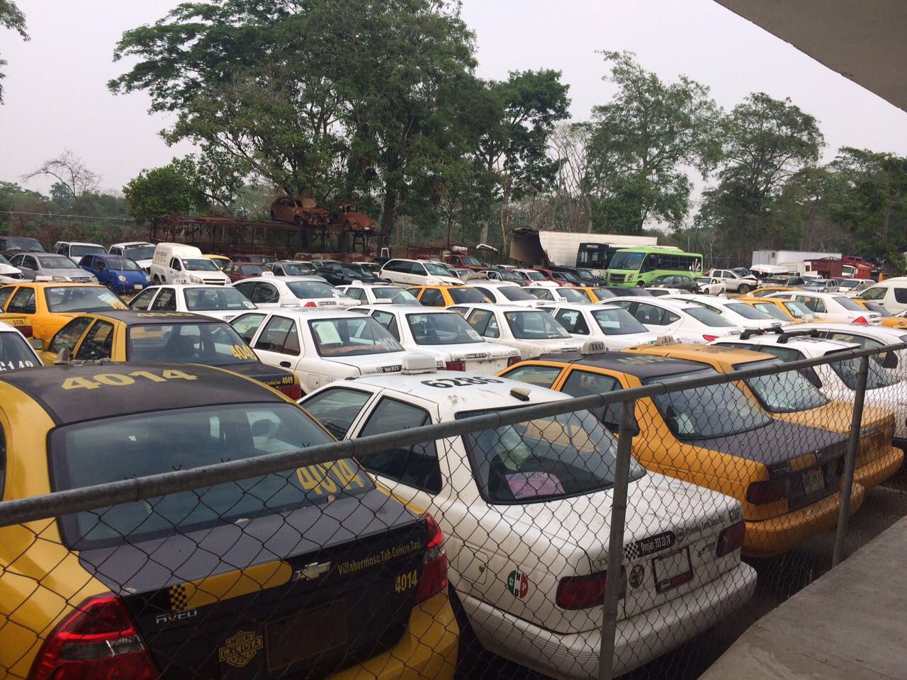 imagen del encabezado