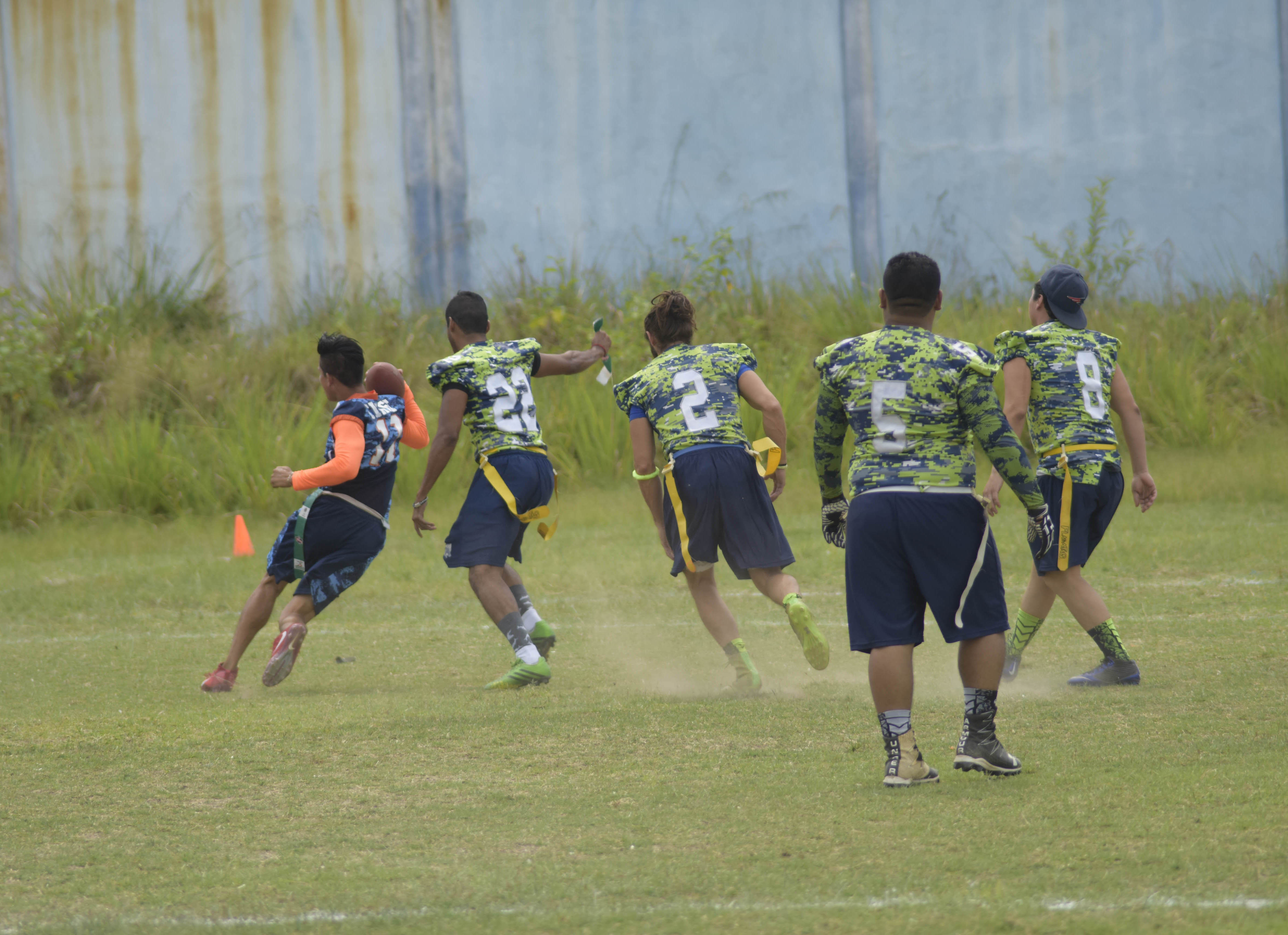 imagen del encabezado