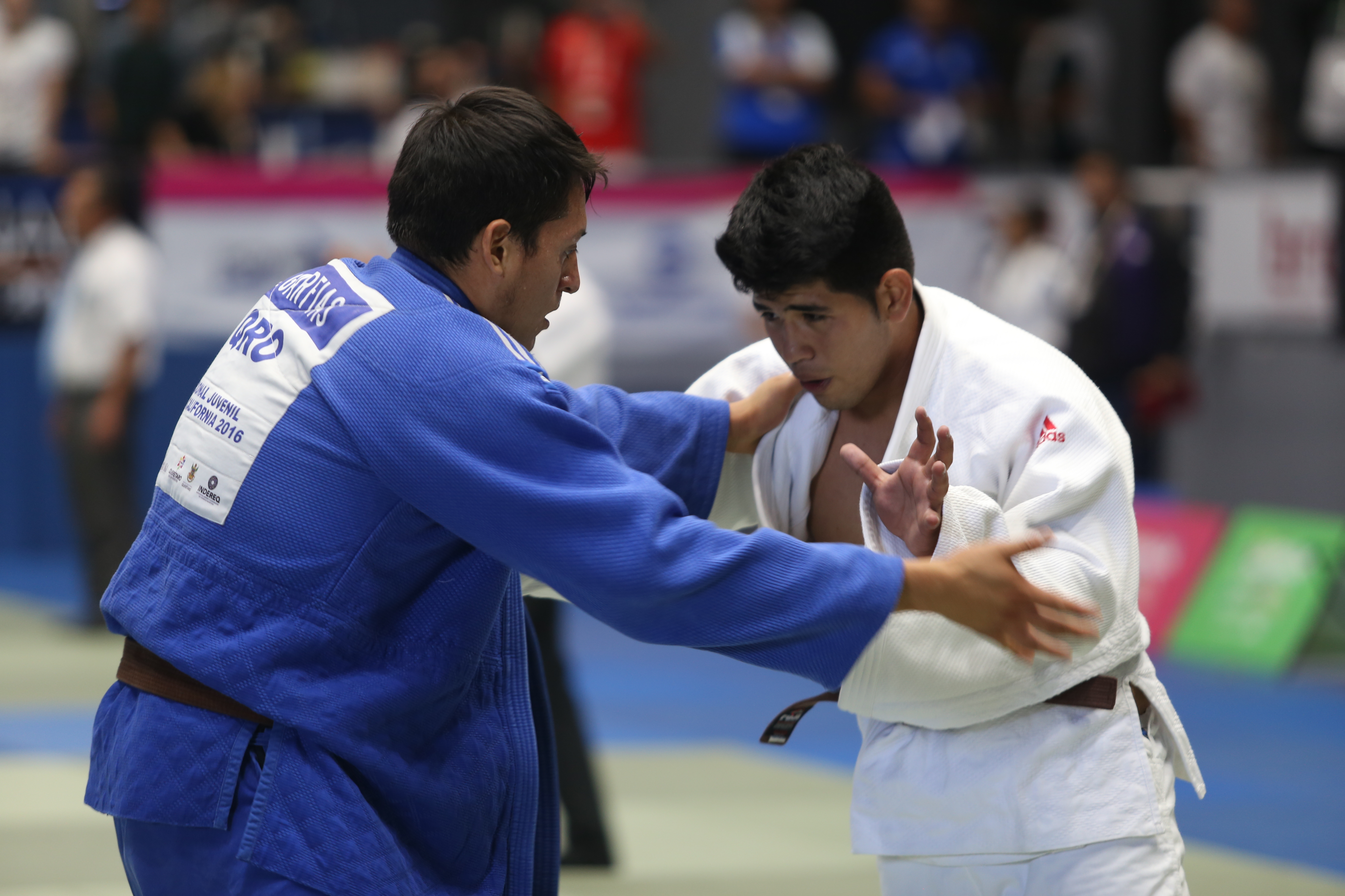 imagen del encabezado