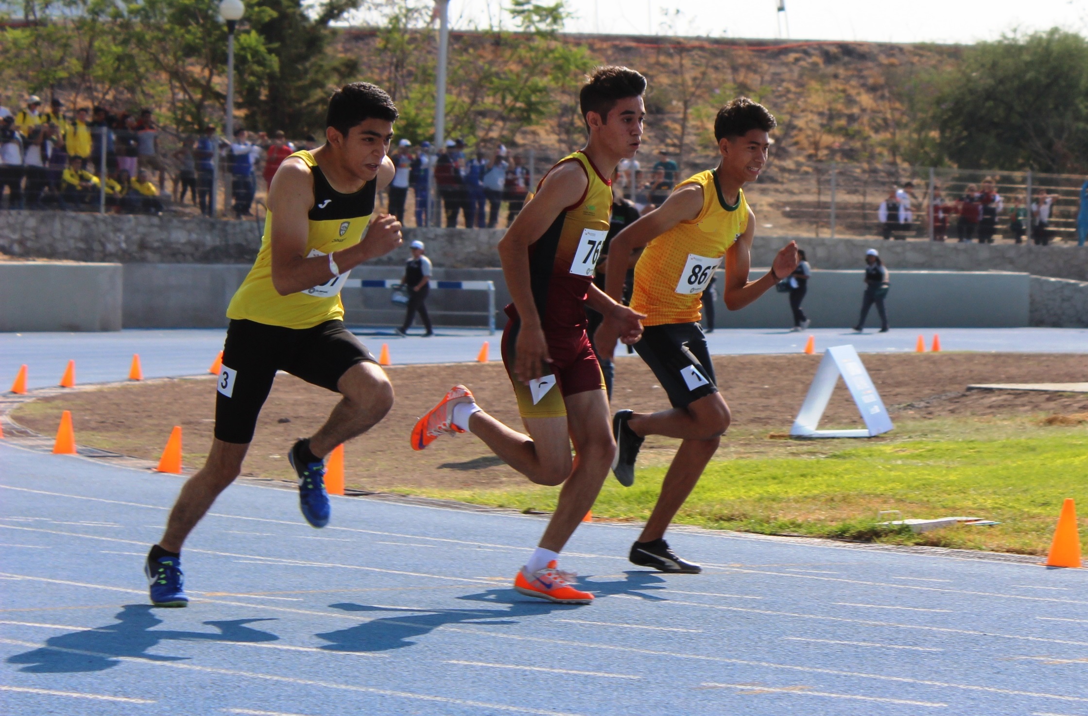 imagen del encabezado