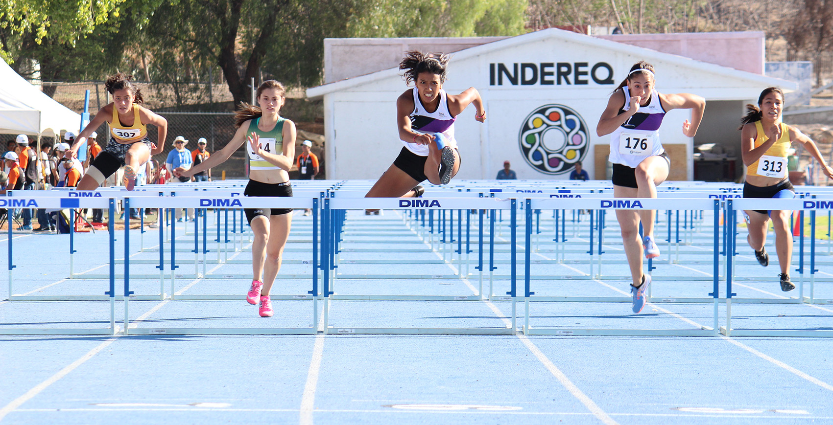 imagen del encabezado