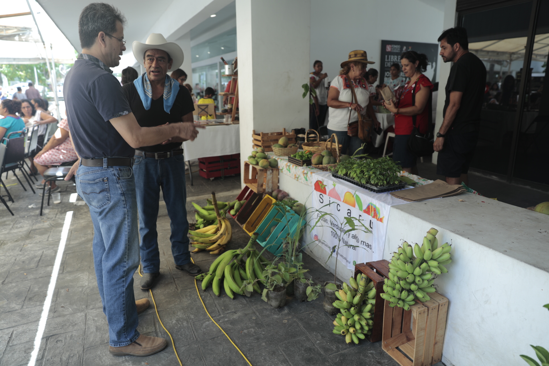 imagen del encabezado