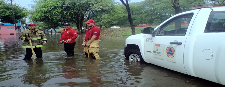 imagen del encabezado