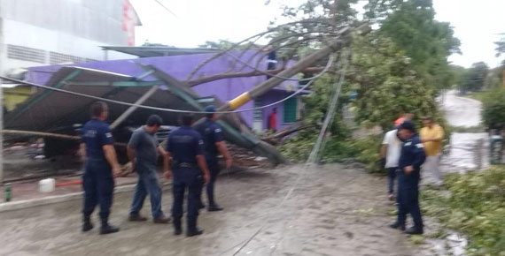 imagen del encabezado