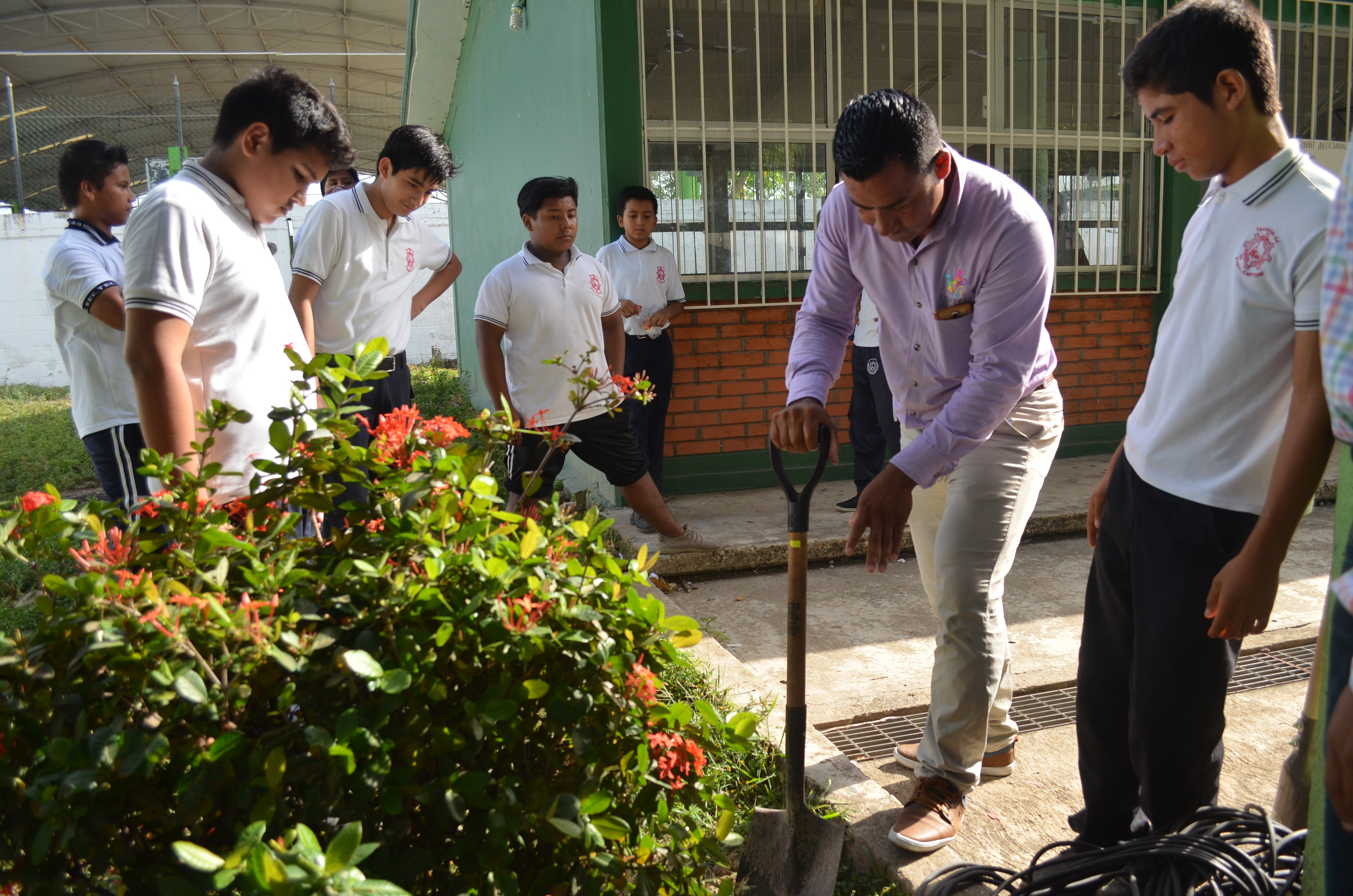 imagen del encabezado