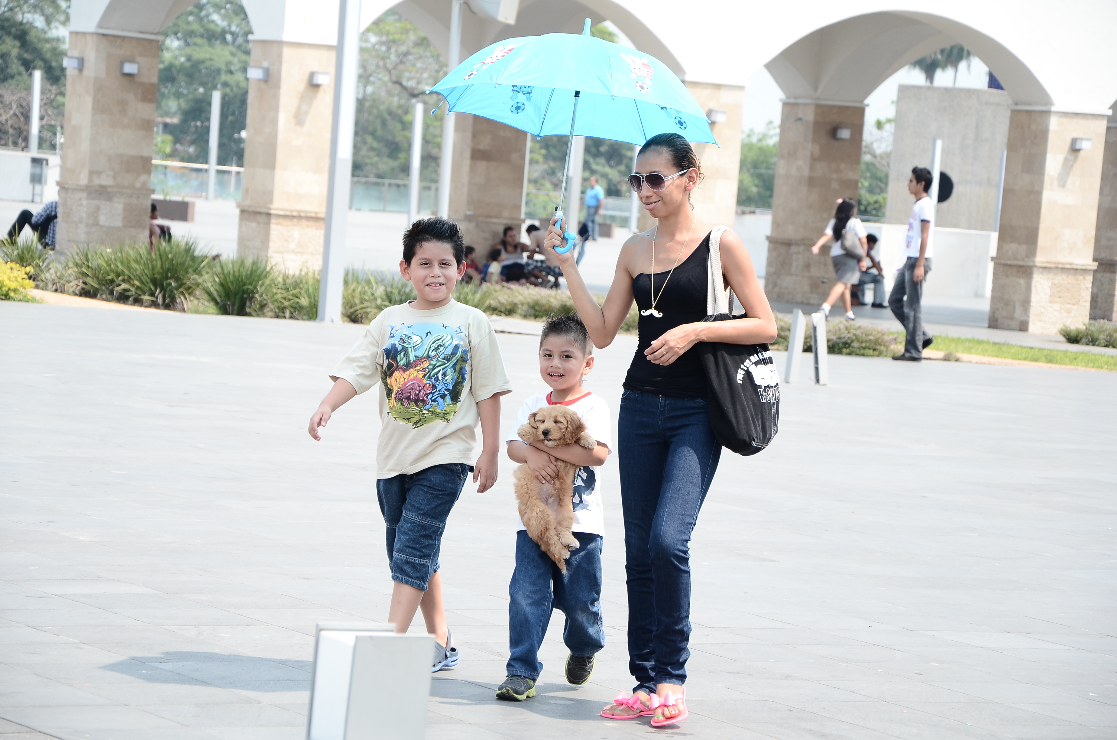 imagen del encabezado