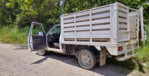 imagen del encabezado