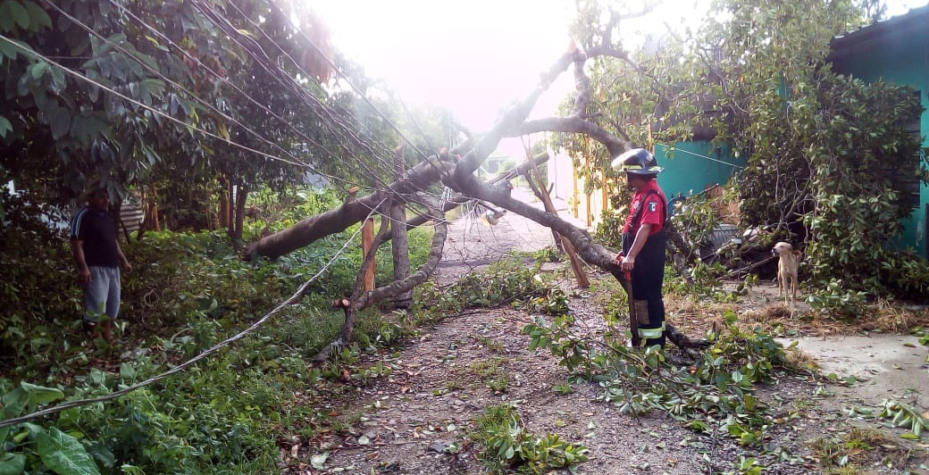 imagen del encabezado
