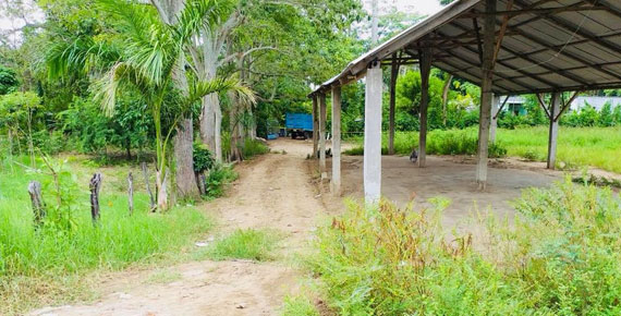 imagen del encabezado