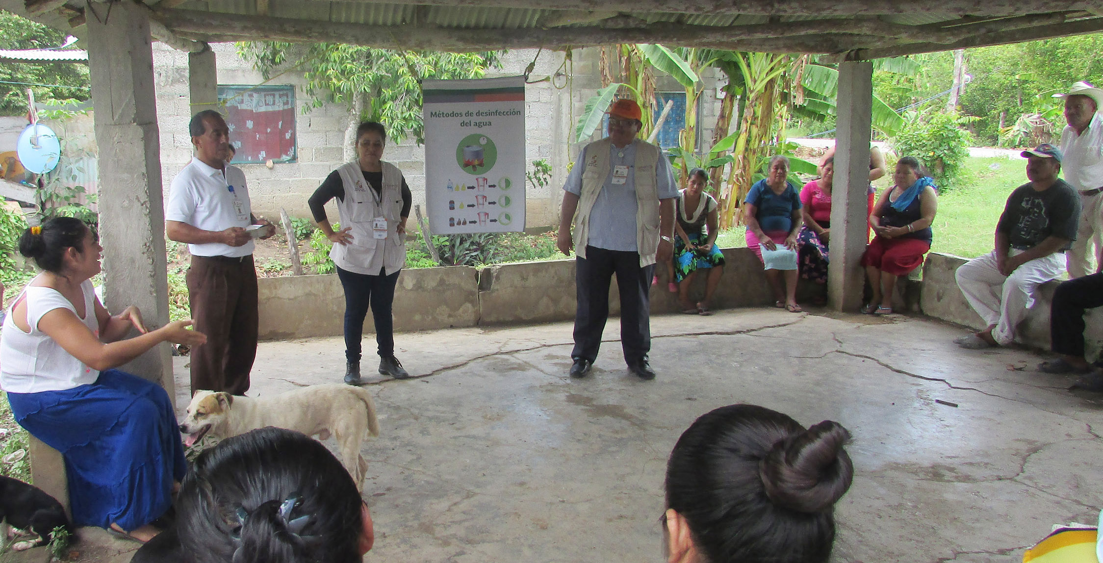 imagen del encabezado