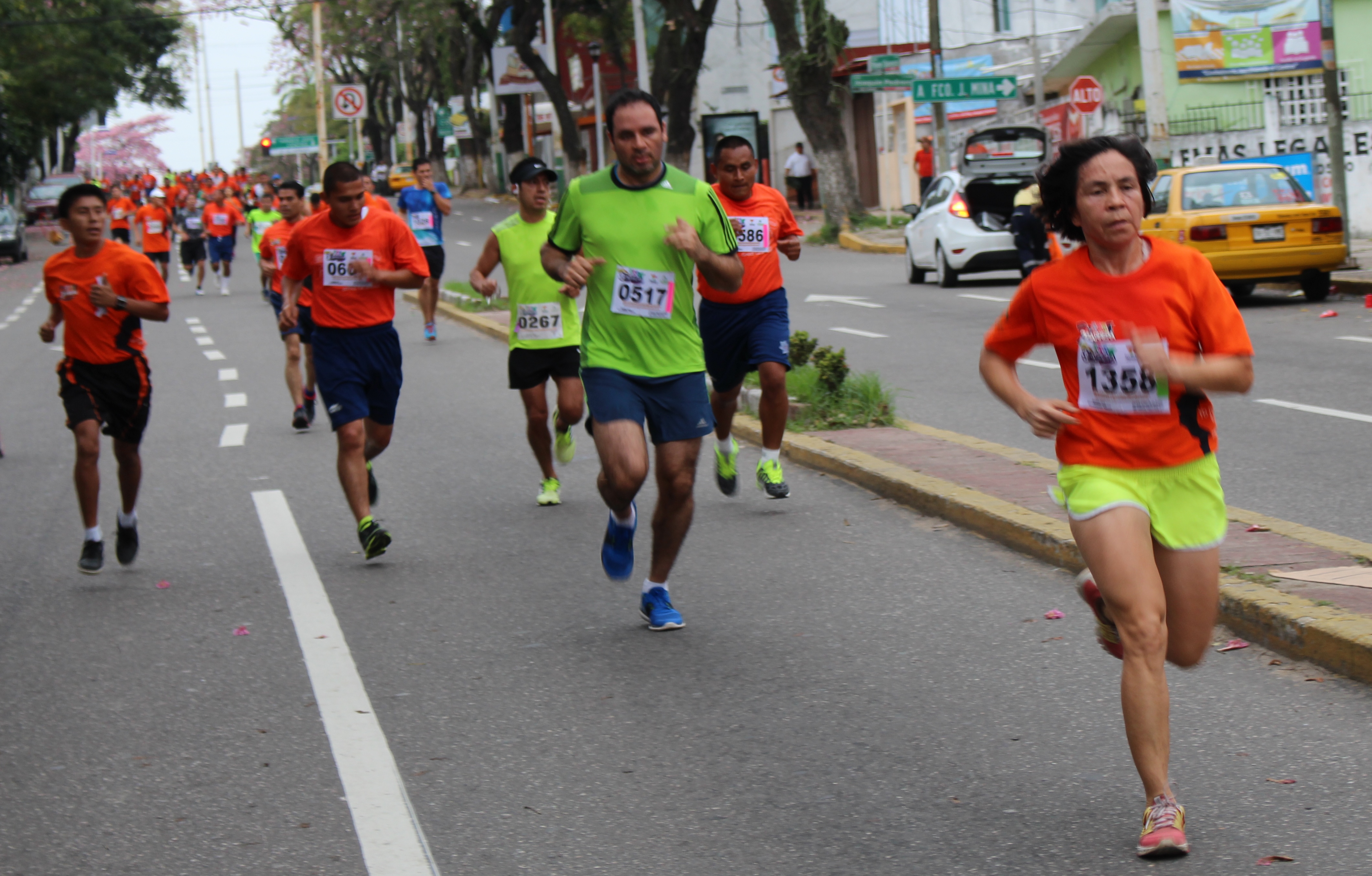 imagen del encabezado