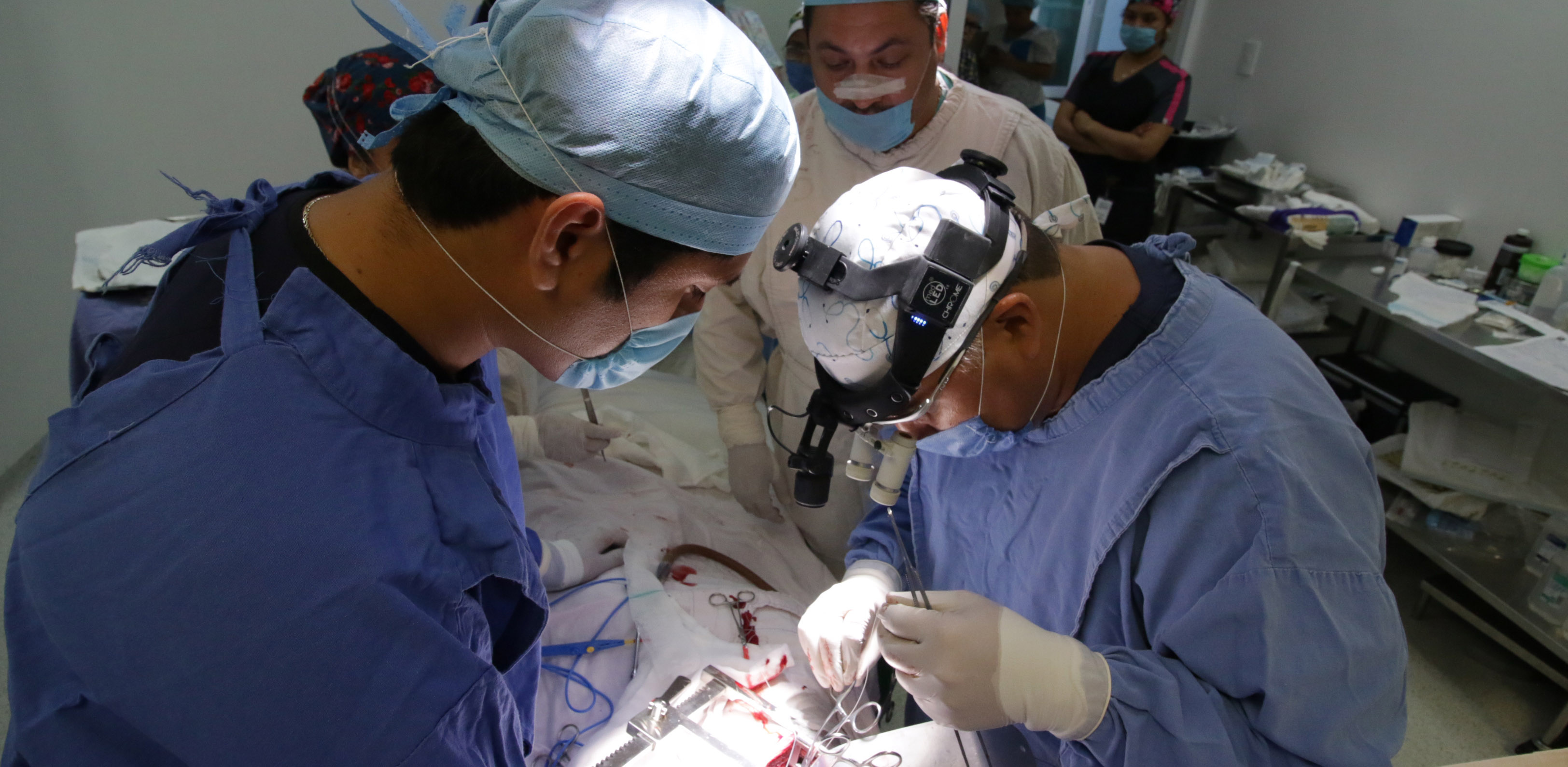 imagen del encabezado