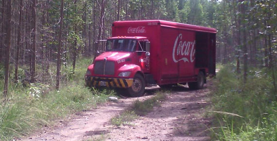 imagen del encabezado