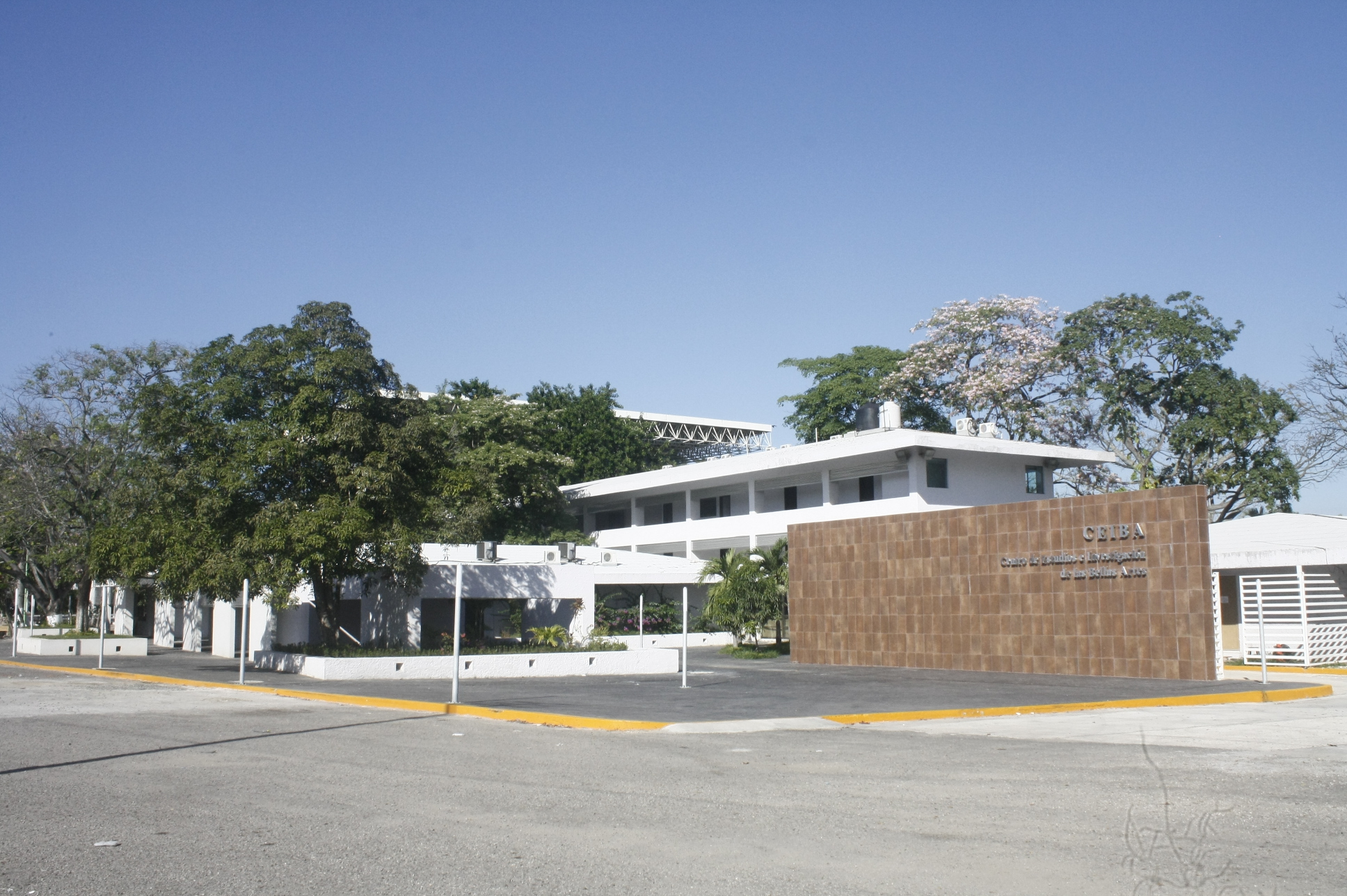 imagen del encabezado