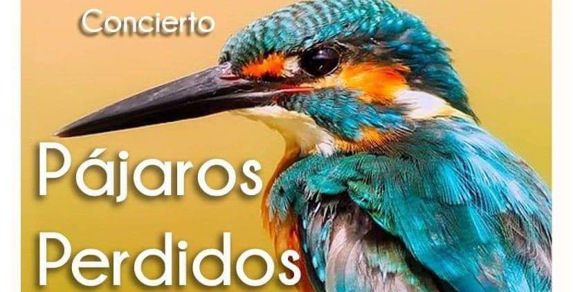 imagen del encabezado