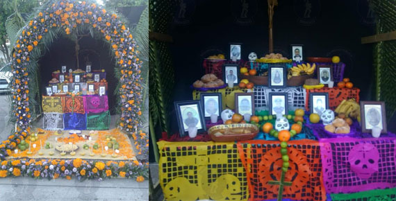 imagen del encabezado