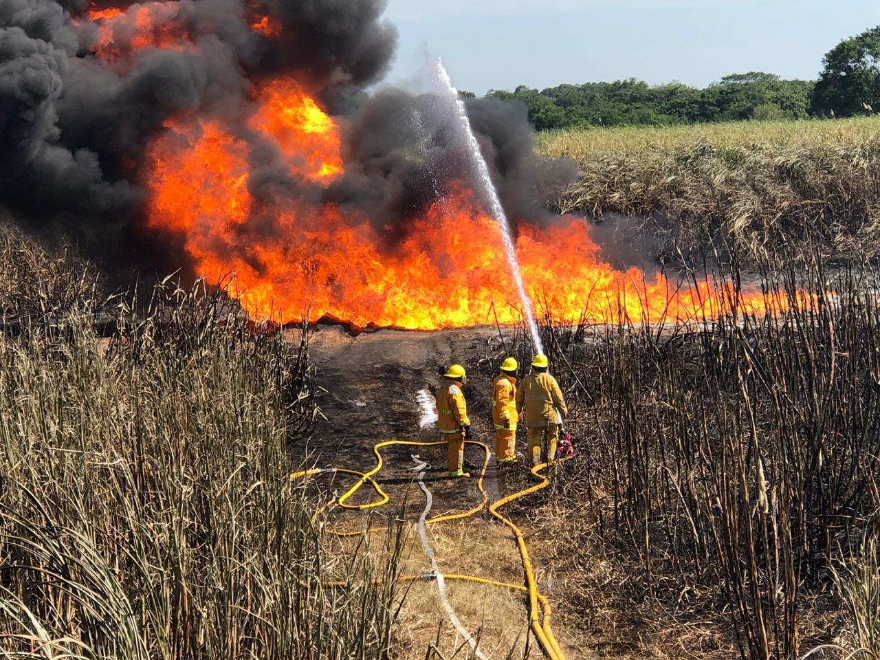 imagen del encabezado