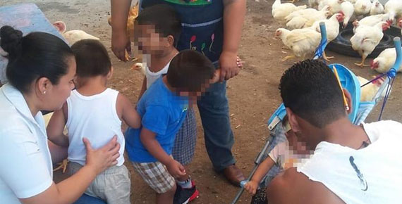 imagen del encabezado