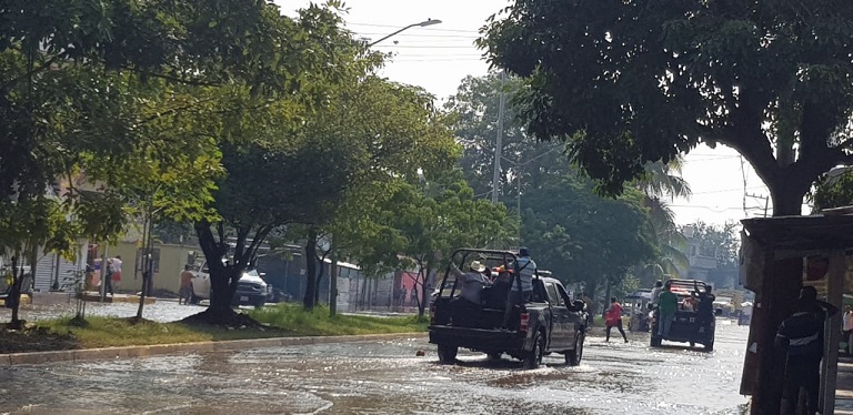 imagen del encabezado