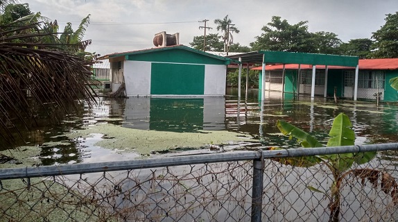 imagen del encabezado