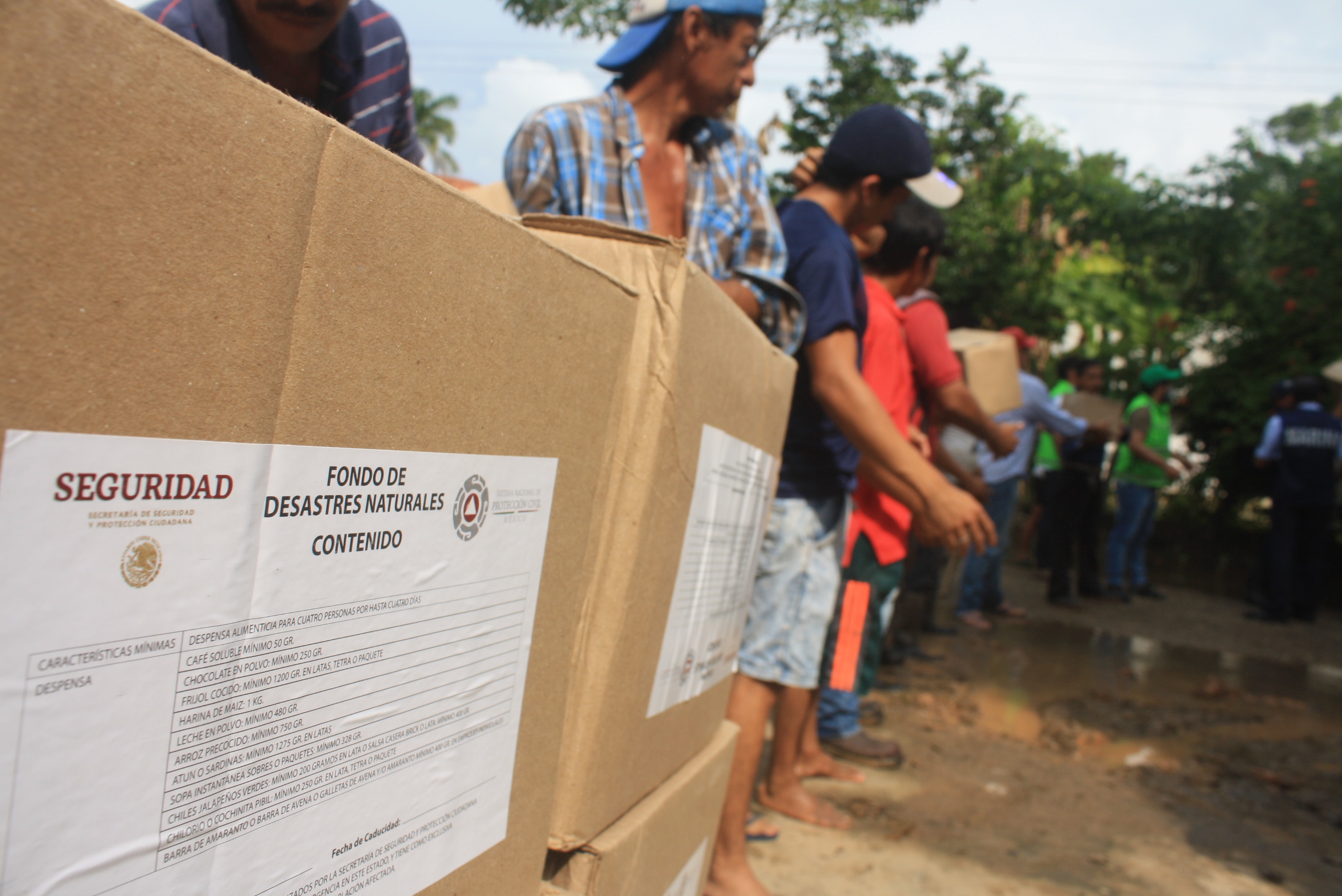 imagen del encabezado