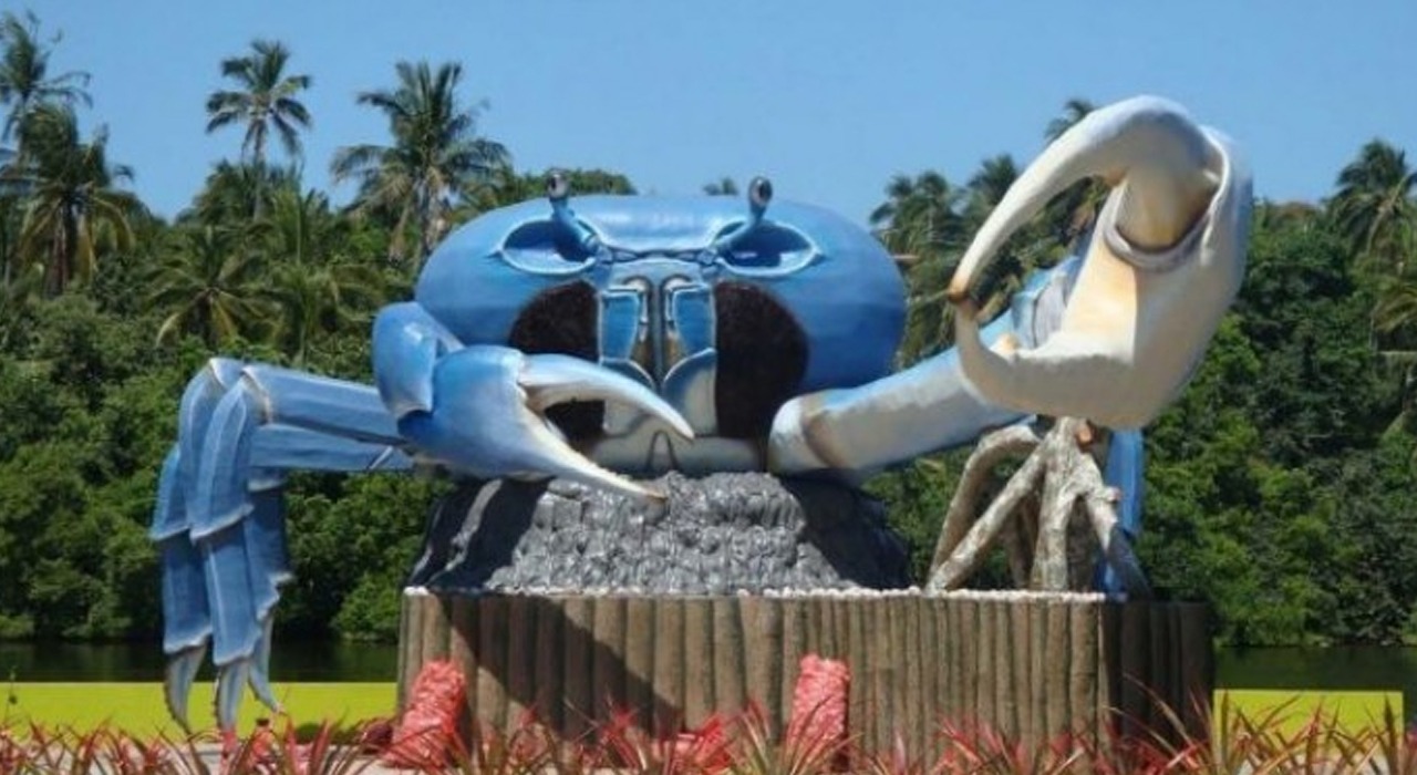 imagen del encabezado