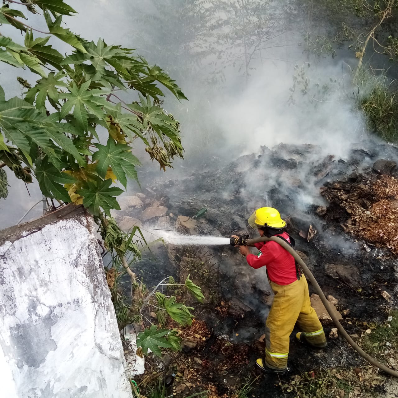 imagen del encabezado