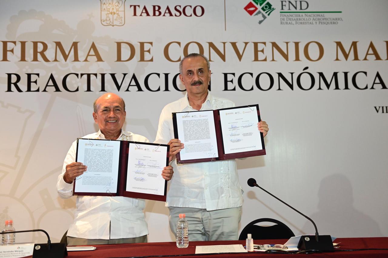 imagen del encabezado