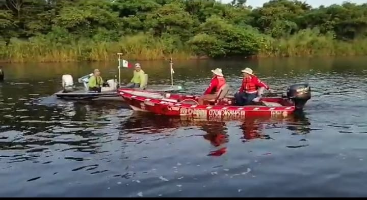 imagen del encabezado