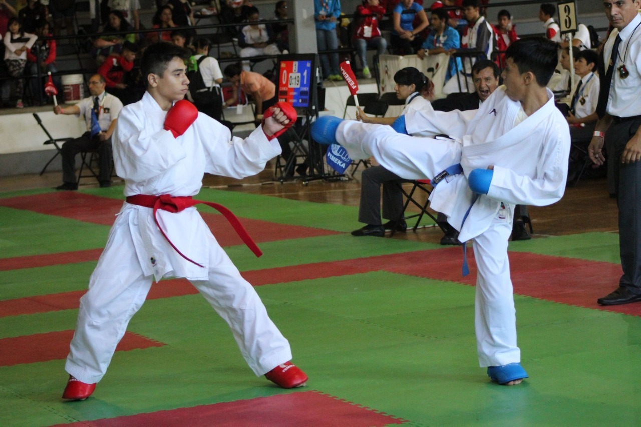 imagen del encabezado