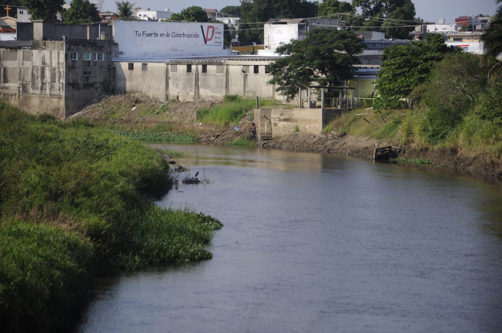 imagen del encabezado