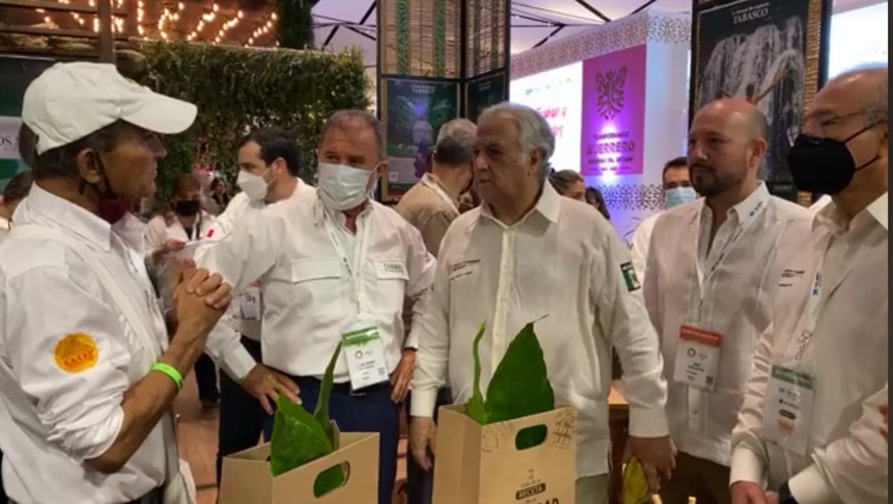 imagen del encabezado