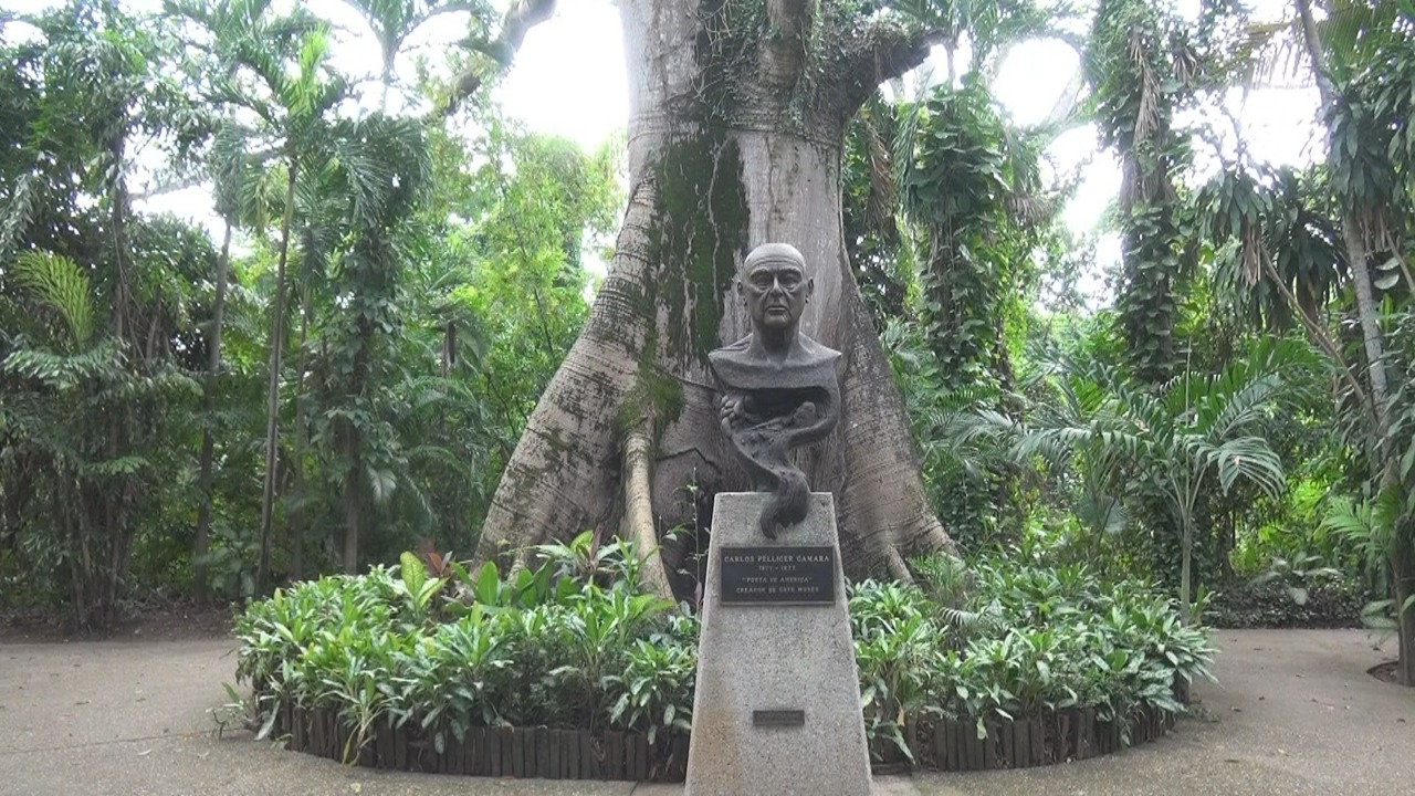 imagen del encabezado