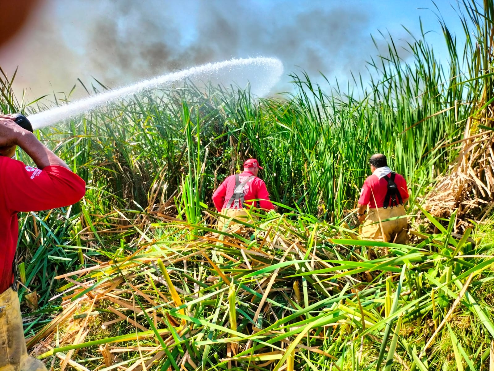 imagen del encabezado