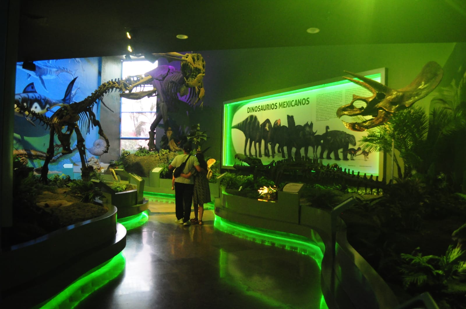 imagen del encabezado