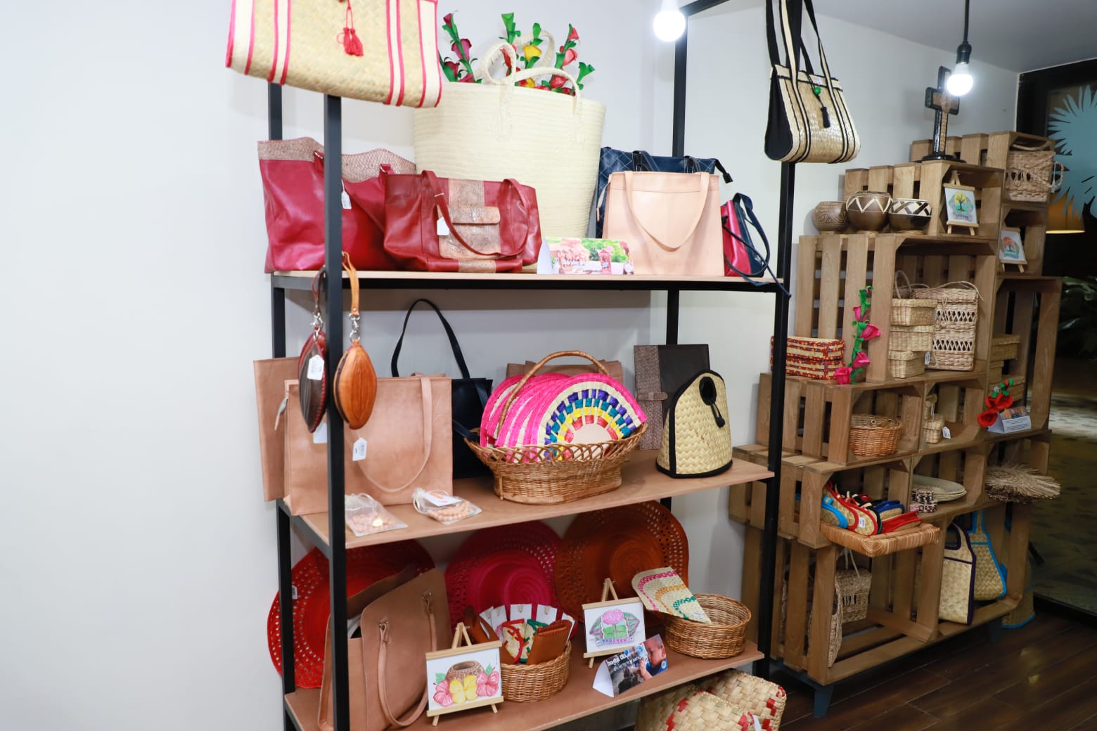 imagen del encabezado