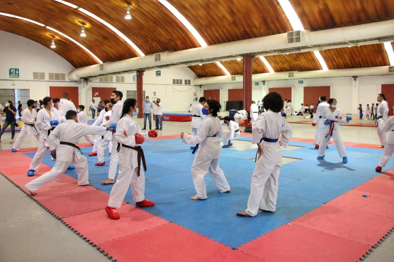 imagen del encabezado