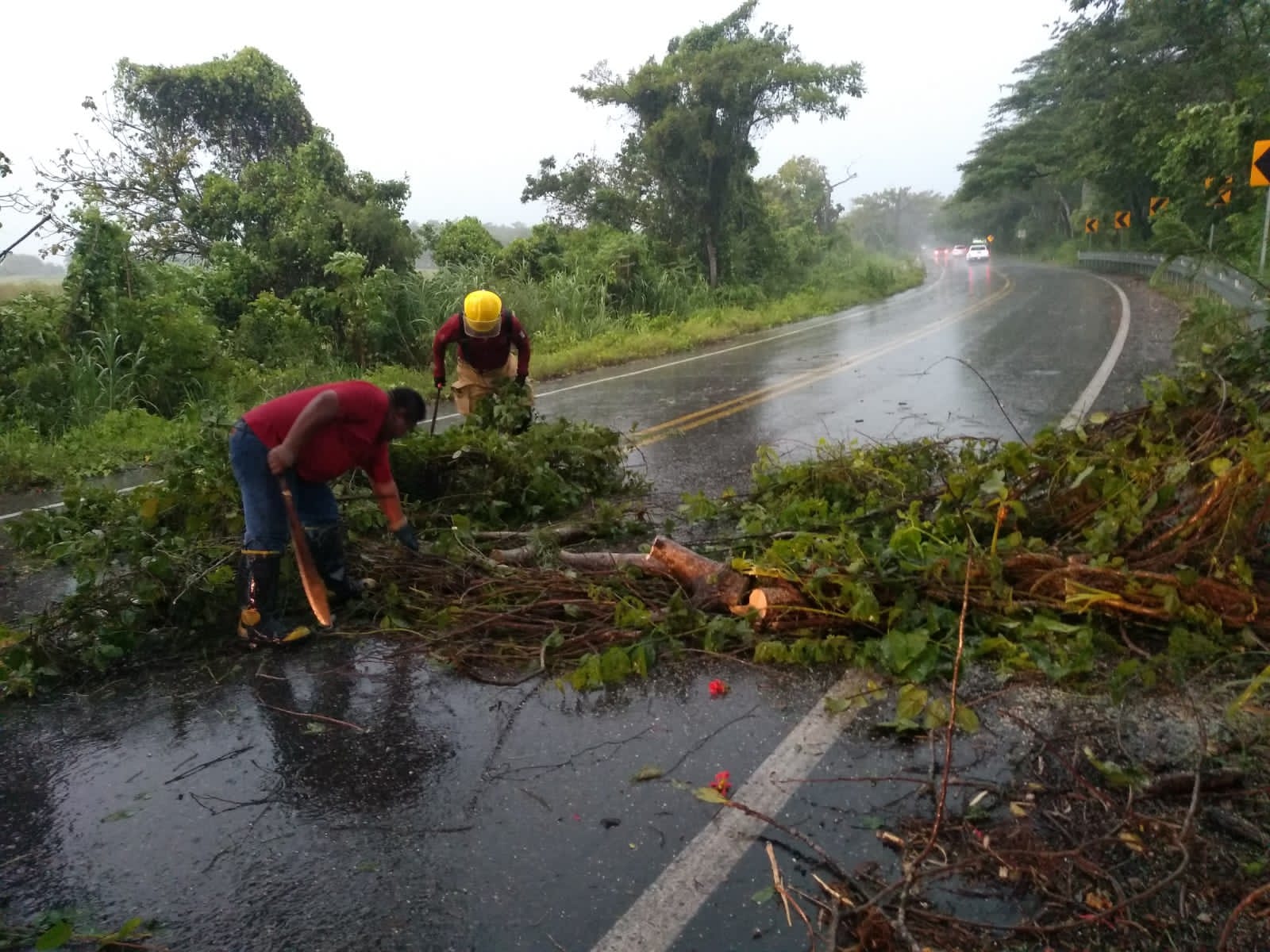 imagen del encabezado