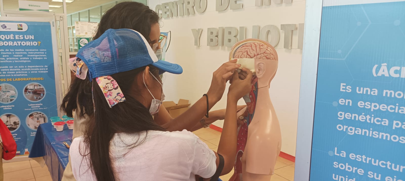 imagen del encabezado