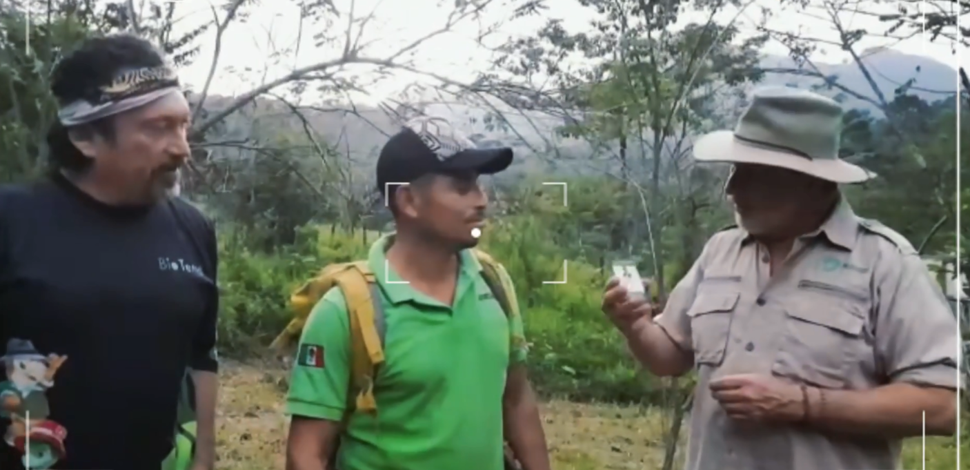 imagen del encabezado