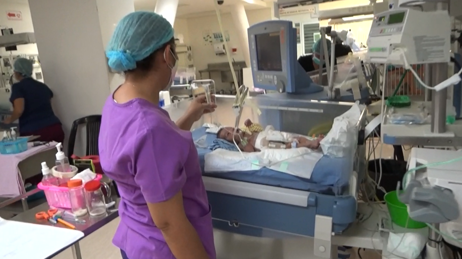 imagen del encabezado