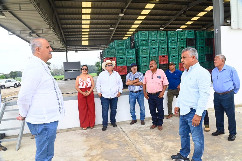 imagen del encabezado